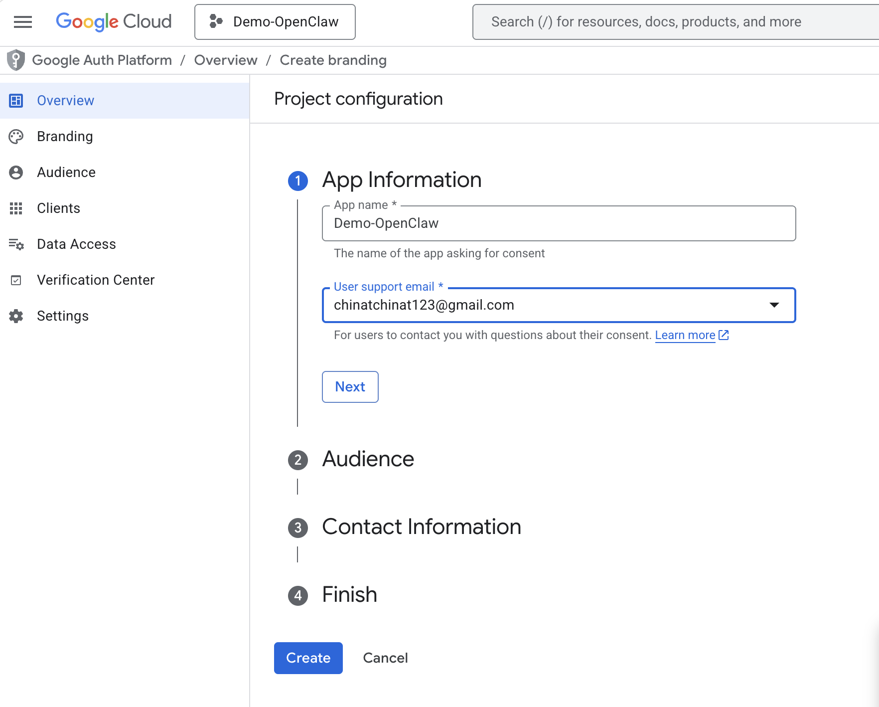 Google OAuth consent screen — App Information setup