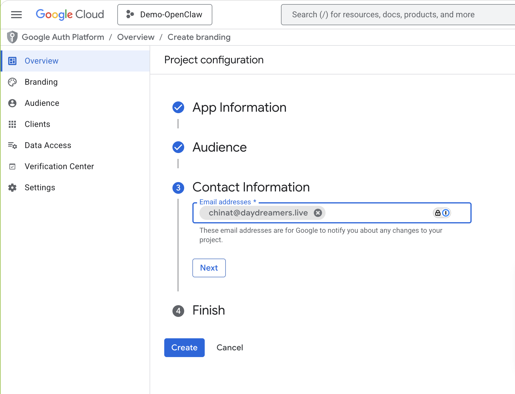 Google OAuth — enter your email in Contact Information